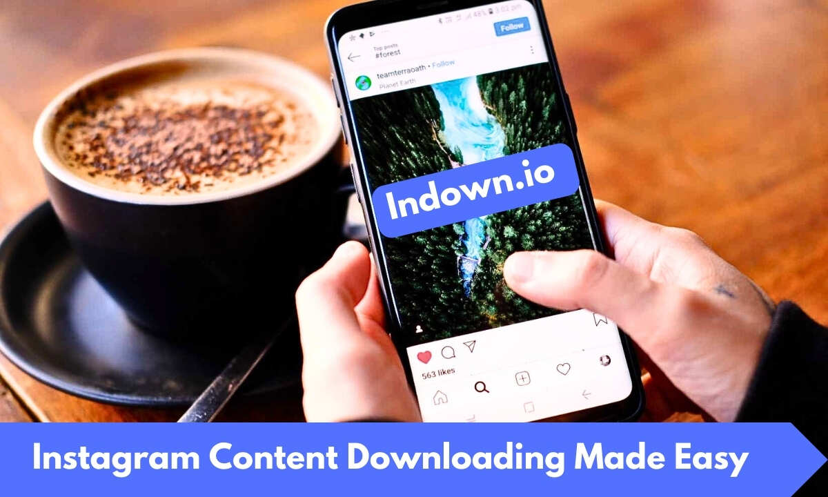 Indown.Io