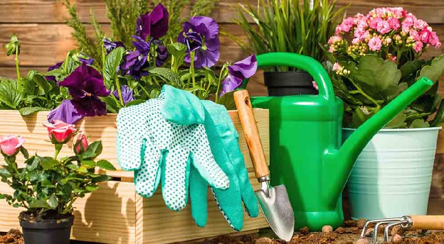 Essential Garden Tools for Your DIY Gardening Projects