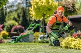 Yakima lawn care